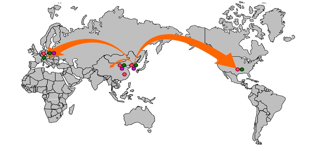 Global business map — arrows from Europe and Asia toward North America with partner locations